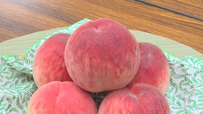 「変色しないのはありがたい」 一方で硬さに厳しい意見も 山梨県オリジナルモモ「夢桃香」 パティシエとの意見交換会|TBS NEWS DIG