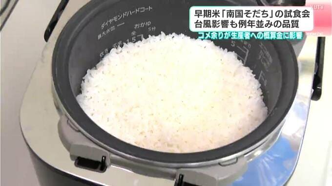 早期米「南国そだち」の試食会　台風影響も例年並みの品質　コメ余りが生産者への概算金に影響　|　高知のニュース・天気｜KUTV NEWS | KUTVテレビ高知