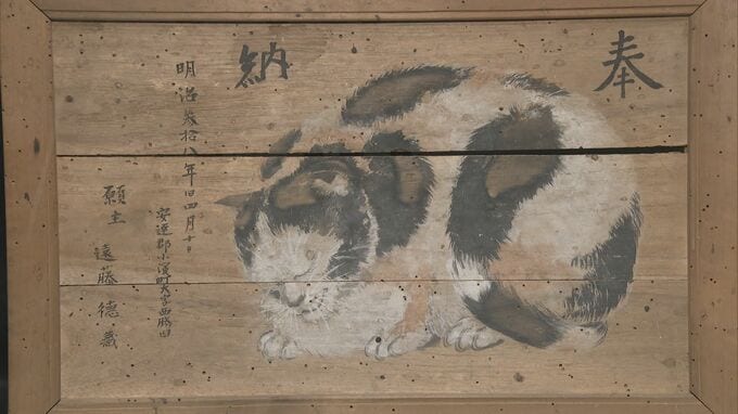 ネズミの被害防ぐため、ネコを神様に…繭の豊作祈り奉納“猫の絵馬”展示会　福島・川俣町|TBS NEWS DIG