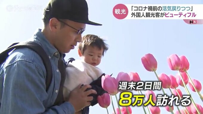 「こんなにたくさんの花、想像してなかった」満開のチューリップに感動！インバウンド回復傾向に期待集まる　富山　|　富山のニュース｜天気・防災｜チューリップテレビ