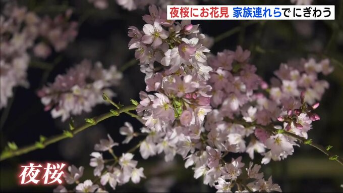 サクラの名所「尾関山公園」で夜のライトアップ始まる　日中は花見を楽しむ家族連れでにぎわう　広島|TBS NEWS DIG