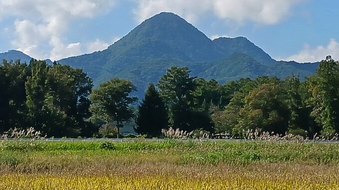 「滑落して意識がないようだ」　南昌山でキノコ採りの男性が顔から出血　防災ヘリで救助も容体不明|TBS NEWS DIG