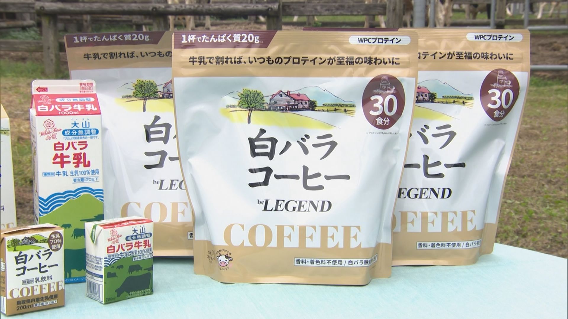 再現率めちゃくちゃ高いんじゃない？」白バラコーヒー風味のプロテイン 