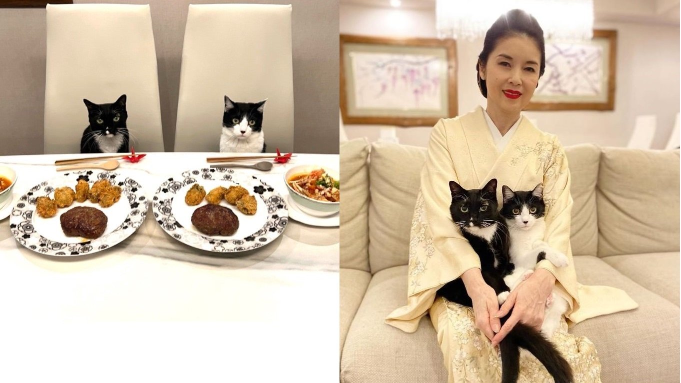 img_ab26e56ee4de3e719a02f2482b