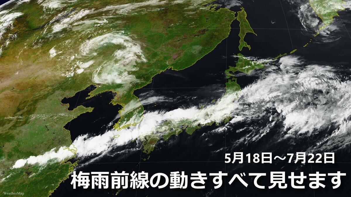 梅雨さま用ページ 四季の草花ふすま紙 梅 襖紙 92cm×182cm 2枚入り FLW-7F 水貼りタイプ
