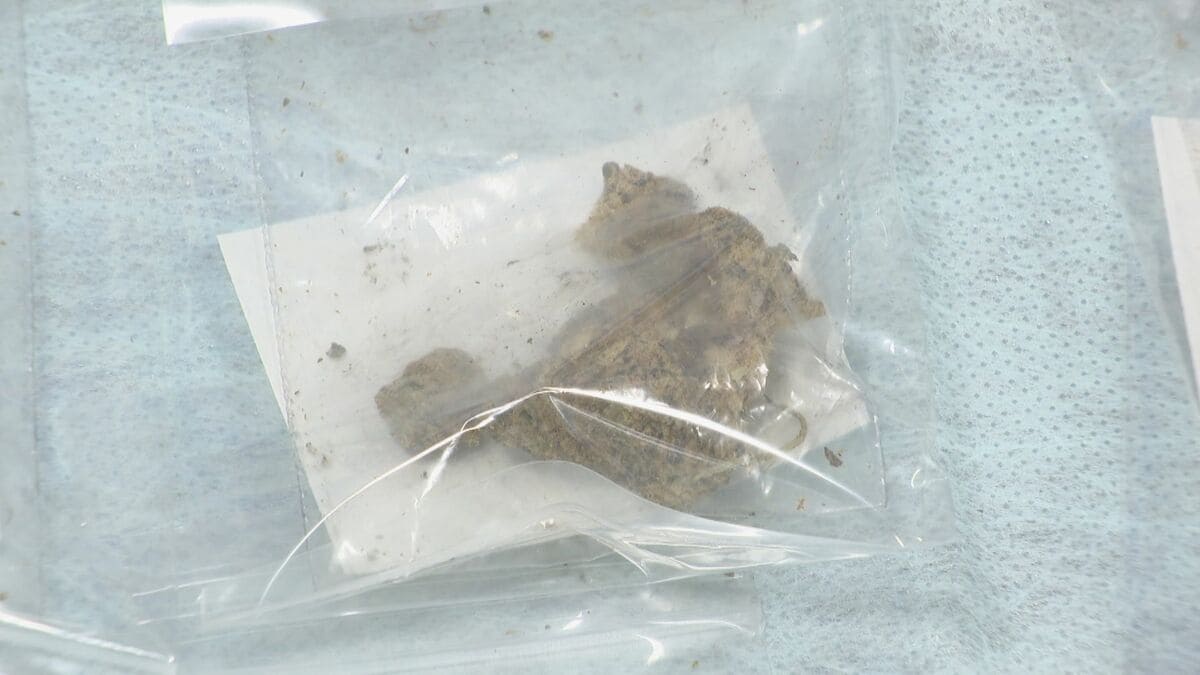 19歳と30歳男と50歳女を逮捕  大麻草やコカインなど…133万円相当を営利目的で所持した疑い