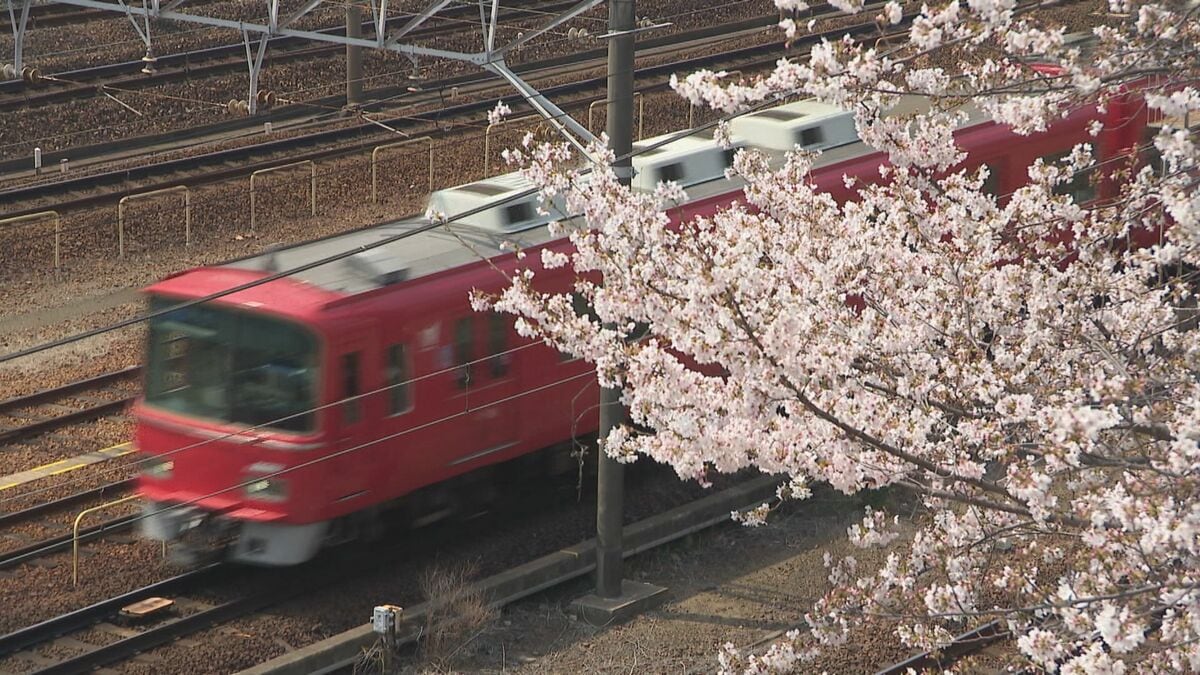 桜×電車の絶景コラボ 線路沿いで満開に… 名古屋･金山駅近く【動画】