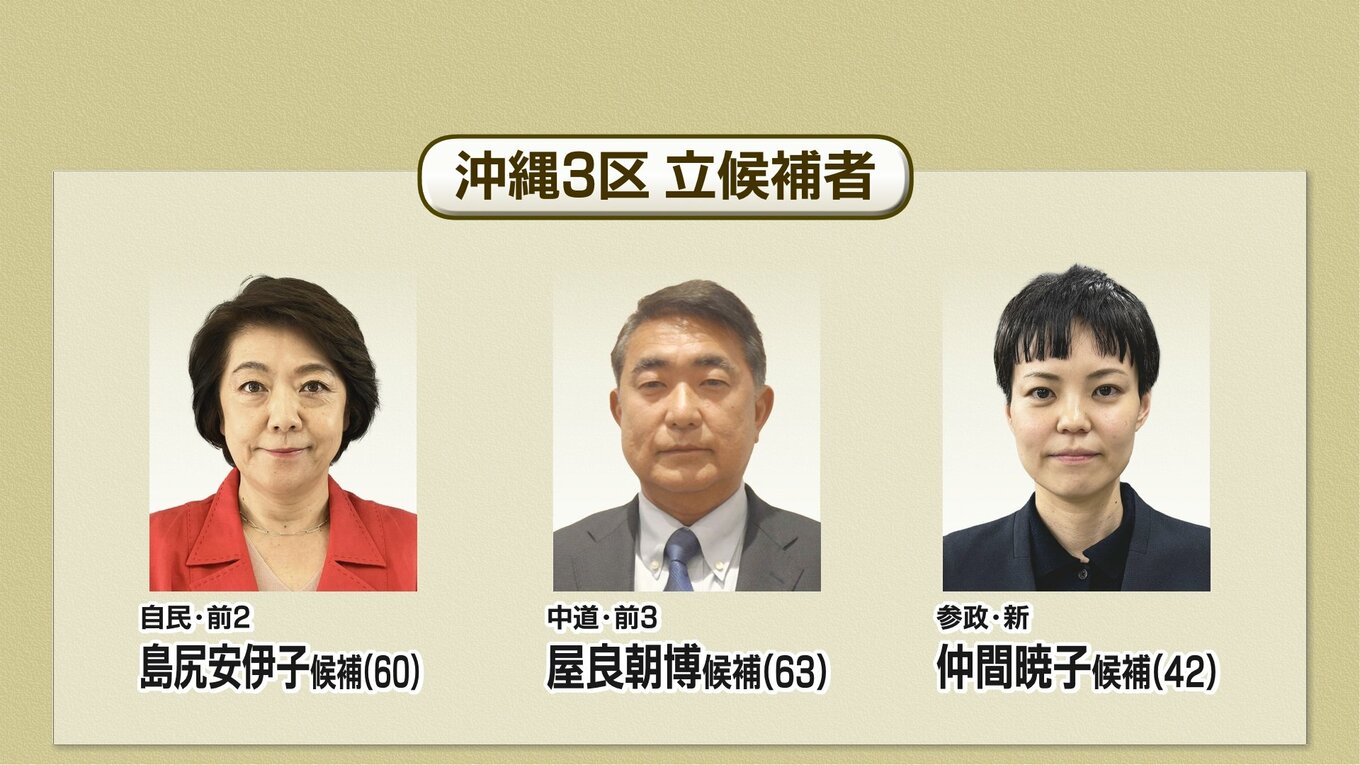 【情勢調査】沖縄県内選挙区 序盤の情勢は 1区・2区・3区は激戦、4区は自民がややリード | TBS NEWS DIG (3ページ)