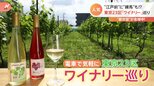 「都市型ワイナリー」急増中!東京23区ワイナリー巡り・・・近くて気軽に!身近に美味しく“都会の楽しみ方”|TBS NEWS DIG