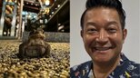 【 山口智充 】娘の合格祈願で “大吉カエル” に出会う　「受験生の皆さん！　がんばれ！」|TBS NEWS DIG
