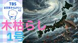 冬の訪れを告げる風「木枯らし1号」近年の異変と11月の天候【気象予報士・森朗のお天気タイムマシン】|TBS NEWS DIG