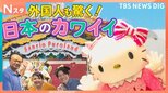 憧れのキティに喜び爆発!今外国人にサンリオキャラが大人気!絶品フードに映えスポット 日本のカワイイに世界が大興奮!【それスタ】|TBS NEWS DIG