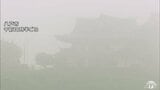 台風6号 青森県内でも空の便に欠航が出るなど影響が 利用する際は最新の交通情報の確認を|TBS NEWS DIG
