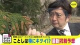 「例年より多いような…」花粉飛散まもなく本格化　ここ10年で”最多”か　スギ林に見に行くと…　|　RCC NEWS | 広島ニュース | RCC中国放送