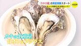 「新鮮さとおいしさが1番の売り」カキづくしの『くれオイスターランド』実証実験はじまる　広島　|　RCC NEWS | 広島ニュース | RCC中国放送