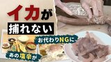 水揚げ96%減!漁師もため息の「スルメイカ不足」天ぷらチェーンが“塩辛”を制限へ | 福岡のニュース|RKB NEWS|RKB毎日放送