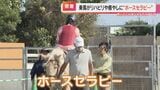 前ではなく横向きや後ろ向きで馬の背に 乗馬で癒しの効果も期待される「ホースセラピー」 | 名古屋・愛知・岐阜・三重のニュース【CBC news】 | CBC web