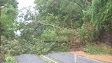 【台風10号】大雨による浸水や土砂災害など 被害状況まとめ・ドキュメント 大分 | 大分のニュース|OBS NEWS|大分放送