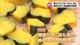 宮崎特産 黒皮カボチャの新品種「南九ブラックボールNo.3号」(通称NBB)の初収穫 | MRTニュース | MRT宮崎放送