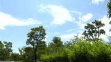 四国地方が梅雨明け 平年より4日遅く、去年より1日早い | 高知のニュース・天気|KUTV NEWS | KUTVテレビ高知