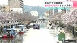 「ちょっと暑い、暖かい」高知地方気象台がサクラ満開発表 堀川沿いの桜並木まもなく見頃に | 高知のニュース・天気|KUTV NEWS | KUTVテレビ高知