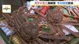 冬の味覚「ズワイガニ」漁が解禁！漁獲量は初日にしては例年よりも多い　阪神梅田本店では１杯８万６０００円で売られるものも　７日からは割安な「理由あり」カニを販売|TBS NEWS DIG