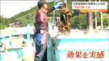 養殖カキを70度のお湯につける『温湯処理』漁師が経験的に行ってきたワケとは 必須脂肪酸EPAやDHAが約15%増加?|TBS NEWS DIG