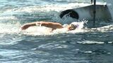 恒例の初島→熱海12km競泳大会 小学生から社会人まで25チームが熱いレースを展開=静岡 | 静岡のニュース | SBSNEWS | 静岡放送