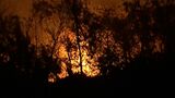 岡山市南区の山林火災「早く終わってくれんかな」3日目の夜にも岡山市・玉野市の1091世帯に避難指示【25日午後9時半現在】|TBS NEWS DIG