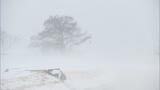 「凍えるほど冷たい」会津で雪降り続く　猪苗代町では地吹雪も　福島　|　福島のニュース│TUF