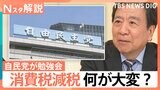「実務的にも財政的にも大変厳しい問題」“消費減税”自民党で勉強会、参院選の争点の1つ【Nスタ解説】|TBS NEWS DIG