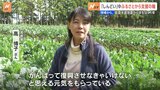 “星付きレストラン”が求める能登の野菜　鹿児島出身の生産者「しんどい…でも復興させなきゃ」|TBS NEWS DIG