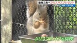 動物たちに好物のエサをプレゼント 沖縄こどもの国でクリスマスイベント|TBS NEWS DIG