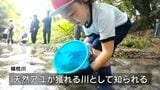 児童らがアユの稚魚を放流 鹿児島・霧島市|TBS NEWS DIG
