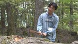中学生が斧で木を切る体験 林業の歴史を学ぶ 南アルプス市で広河原環境教育プログラム 山梨|TBS NEWS DIG