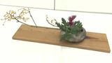 “花は野にあるように” スズメウリにサワキキョウ 季節の草花の自然な美しさを表現した「山村御流いけばな展」【岡山】|TBS NEWS DIG