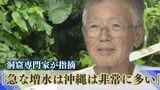 「急な増水は沖縄は非常に多い」急な水かさ増で行方不明になった洞窟ツアー 洞窟専門家が指摘する県内と県外の洞窟の違いは | 沖縄のニュース|RBC 琉球放送
