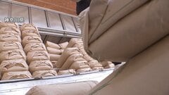 備蓄米21万トン買い戻し、鈴木農水大臣が表明も生産者からは「焼け石に水」の声　古米在庫＋豊作新米でコメ価格“暴落”に懸念…自民党が緊急決議| TBS CROSS DIG with Bloomberg