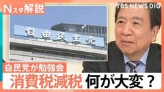 「実務的にも財政的にも大変厳しい問題」“消費減税”自民党で勉強会、参院選の争点の1つ【Nスタ解説】| TBS CROSS DIG with Bloomberg
