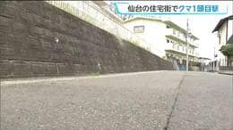 「クマが徘徊している」仙台市内の住宅地でクマの目撃情報　仙台・青葉区|TBS NEWS DIG