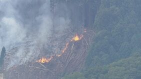 「気が付いたら出火」兵庫・宍粟市で山林火災　焼失面積は約1万平方メートルに広がる　消火活動中|TBS NEWS DIG