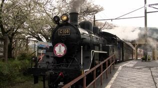 "現実95％、5％で夢を見る" 大井川鉄道・鳥塚社長 現状使えるSLを「トーマス号」と「パーシー号」に 全面復旧へ向け苦渋の決断【現場から、】　|　静岡のニュース | SBSNEWS | 静岡放送