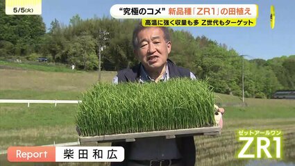 六一/農耕之図/田植えより収穫まで/掛軸/名家伝来/AA-146 六一/農耕之