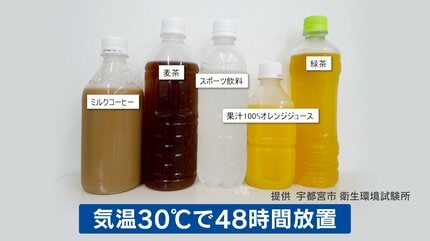 むぎちゃ様確認用です まるっこい