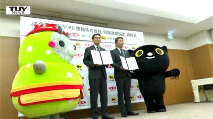 生産者は収穫作業に専念し 
