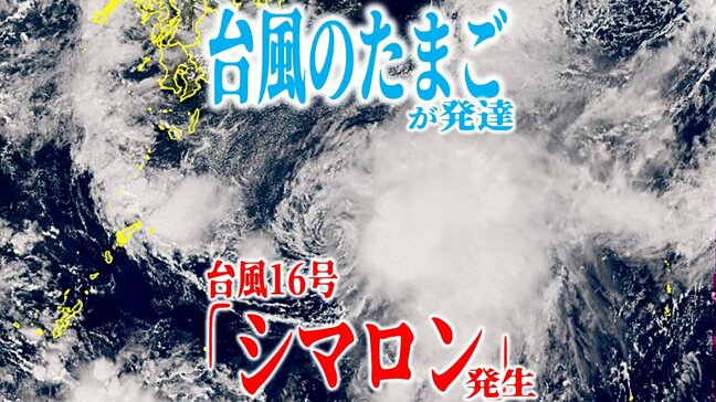 【台風情報】台風16号(シマロン)が発生 “台風のたまご”が発達 ゆっくりと日本に向けて北上 いまどこ?【最新進路予想図・雨と風のシミュレーション・海面水温(25日午後3時10分更新)】|TBS NEWS DIG