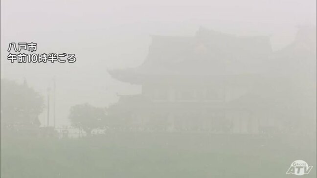 台風6号 青森県内でも空の便に欠航が出るなど影響が 利用する際は最新の交通情報の確認を|TBS NEWS DIG