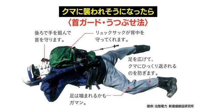 夏山でクマに襲われたら「首ガード・うつぶせ法」　専門家が語る万が一の遭遇時に命を守る方法　富山|TBS NEWS DIG