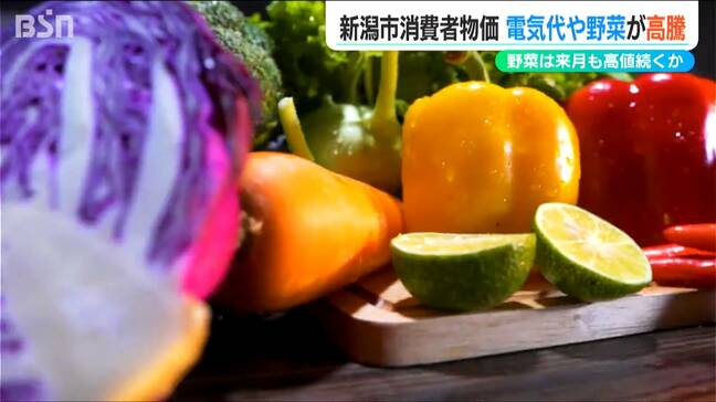 電気・ガス・コメ・野菜が大幅に値上がり 物価高騰とまらず… 12月の新潟市消費者物価指数|TBS NEWS DIG