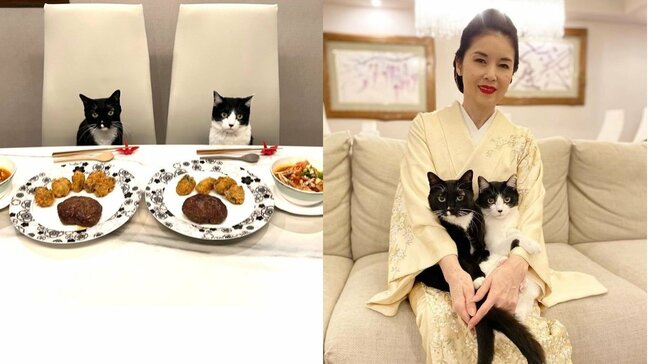 【ねこ】藤あや子さんGW連休中は「マルオレ食堂」と「赤玉製作」 愛猫マル&オレオはごちそうの前でもお澄ましな表情|TBS NEWS DIG